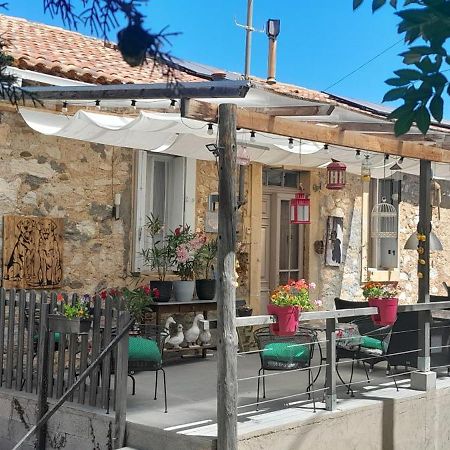 مبيت وإفطار Prades-sur-Vernazobre Sur La Bonnefooi المظهر الخارجي الصورة